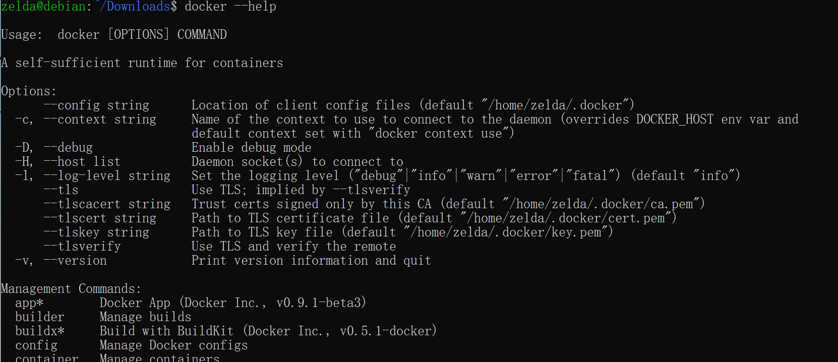 check_docker_cmd