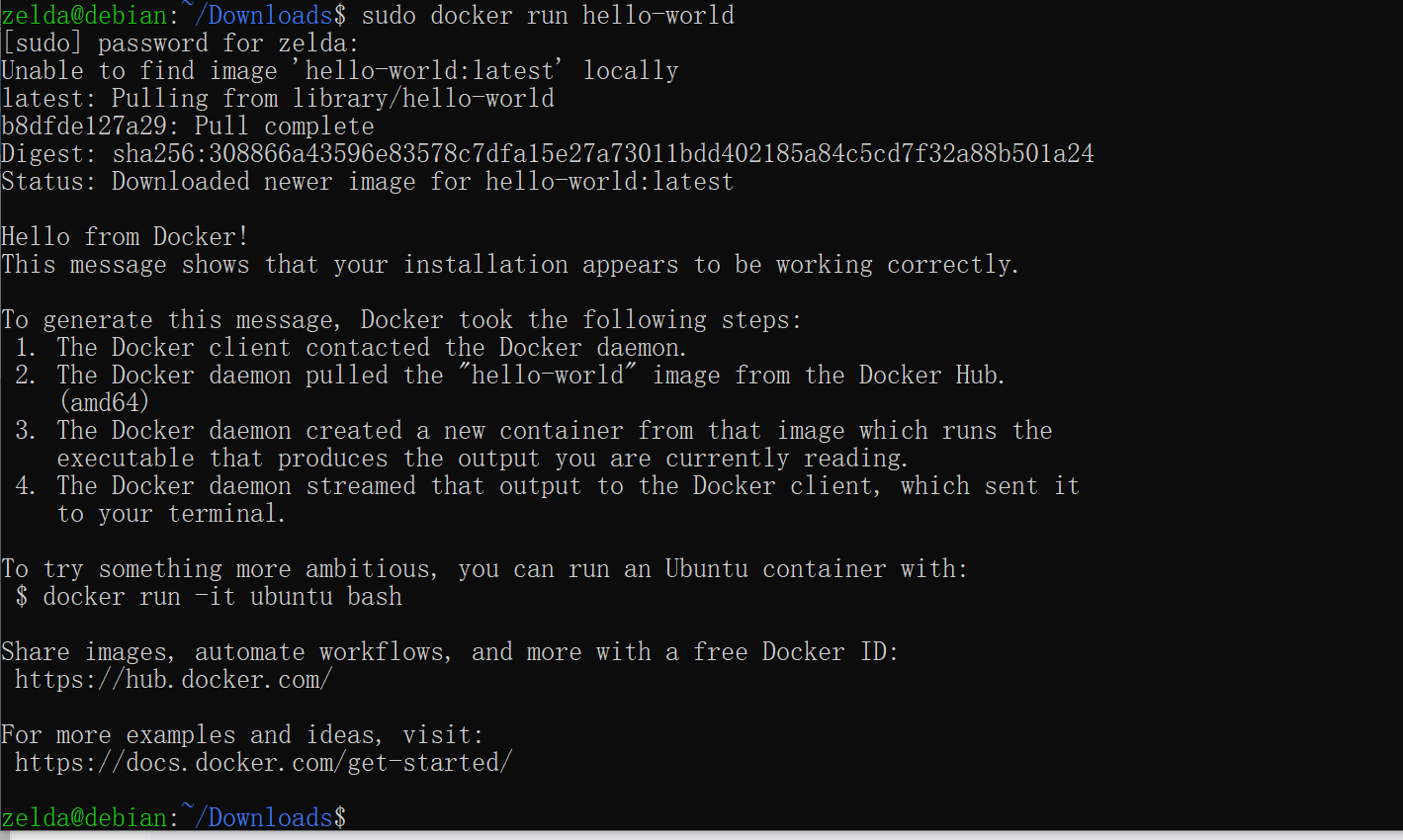 run_docker_hello_world